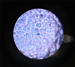 Изображение 26.